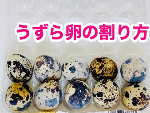 意外とコツがあるんです♫ うずら卵の割り方